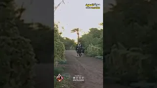 مندور ابو الذهب دندنها