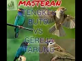 Download Lagu MASTERAN TENGKEK BUTO VS GEREJA TARUNG..full 1jam