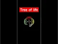 Drawing Tree of Life with Python Turtle
