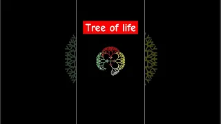 Drawing Tree of Life with Python Turtle