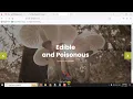 Edible and Poisonous Mushrooms Classification by Machine Learning Algorithms Python IEEE Project