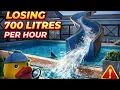 HOLIDAY Park Pool Losing 700 Litres every HOUR