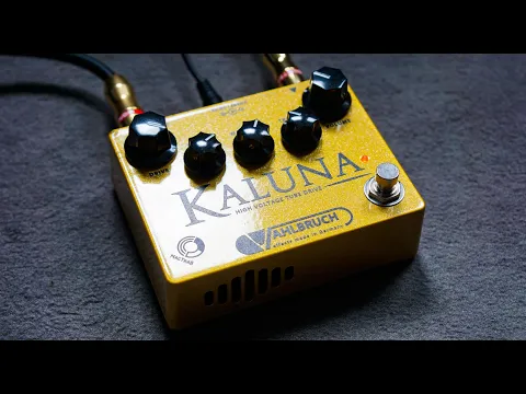 Vahlbruch Kaluna II Tube Overdrive | Delicious Audio