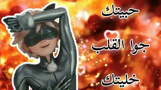 أغنية  حبيتك و جوا القلب خليتك  على الدعسوقة و القط الاسود من تصميمي روعة لا يفوتكم دندنها