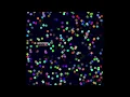 Genetic Algorithm Study - Color