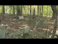 Nonprofit pushes to protect historic Black cemetery near massive data center project WSB-TV