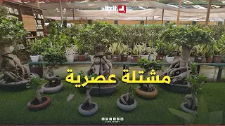 مشتلة عصرية تواكب المعايير العالمية