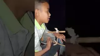 الطفل المبدع عمر ود ريره جديت الناله 