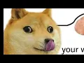 Smooth Brain Doge