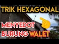 Download Lagu Suara Hexagonal Walet dan Cara Pasang Hexagonal Walet agar Burung Walet Mampir Ke RBW kita