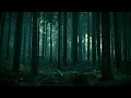 Download Lagu Black Metal Playlist To Enjoy The Nature #05