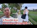 Download Lagu A Peaceful Area In The Corner Of Ubud Bali..!! Have You Been Here..???