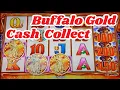 Download Lagu Buffalo Gold Cash Collect