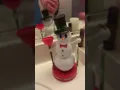Hallmark freshy the Snowman