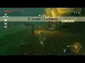 Zelda BOTW A Shady Customer Side Quest