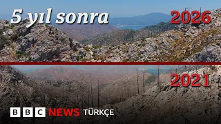 Marmaris ve Bodrum yangınları: 5 yıl sonra aynı yerde