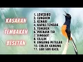 Download Lagu 🔴 GACOR‼️ MASTERAN MURAI BATU TERBAIK METERI KASARAN TEMBAKAN BESETAN
