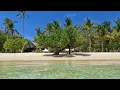 Tropical Beach Escape