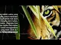 Download Lagu Story wa harimau 30 detik