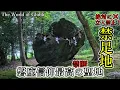 Download Lagu ※京都最大の聖地⚠️絶対に踏み入れてはいけない禁足地！古代からの信仰が残る聖地【多言語解説動画】【京都府亀岡市千歳町出雲 出雲大神宮】