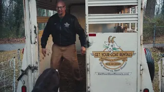 Commercial Ads 2019 Head And Shoulders Get Your Goat Rentals 