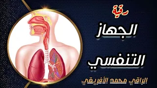 رقية الجهاز التنفسي من الأنف والجيوب وحتى القصبة الهوائية والرئتين الإستهداف بصندوق الوصف 