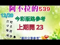 12/20 今彩版路參考 上期開 23