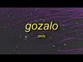Lagu GOZALO (Ultra Slowed)