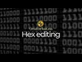UltraEdit s Hex Editor Binary File Editor