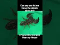 Download Lagu Scorpion death causing poison #scorpion #poision #sellindiancurrency