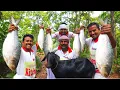 Download Lagu Bengali famous Hilsha fish \u0026 Mutton curry recipe | Sorshe Ilish recipe cooking for village people