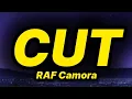 Download Lagu RAF Camora - Cut (lyrics/text)
