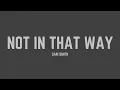 Download Lagu Sam Smith - Not In That Way (Lyrics)