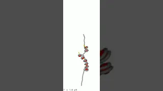 Stacking Nucleosomes 