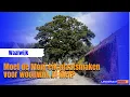 Download Lagu Moet de Moni eik plaatsmaken voor woonwijk of niet?