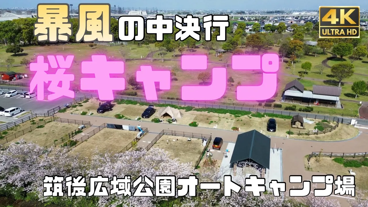  暴風の中で決行した桜キャンプが最高すぎた｜温泉あり【福岡/筑後広域公園オートキャンプ場】 썸네일