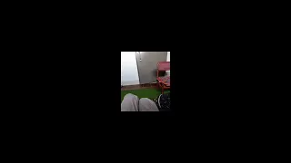                     دندنها