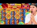 All It Takes Is ONE SPIN On Dog House 1000