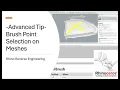 Rhino Reverse Engineering - Sel Brush on Meshes