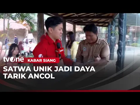 Satwa Unik dan Langka di Ancol Siap Sambut Wisatawan untuk Isi Libur Tahun Baru Islam
