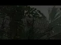 Real Heavy Rain & Powerful Thunderstorm ⛈️ | Deep Sleep & Relaxing Rain Sounds (3 Hours)