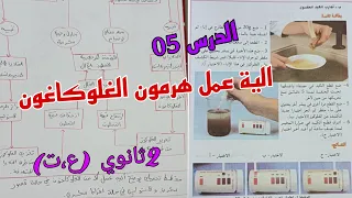 الدرس 05الية عمل هرمون الغلوكاغون هرمون الافراط السكري 