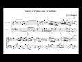 George Fr. Handel - Violin Sonata Op. 1, No. 13 HWV 371 (1750)