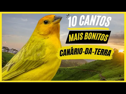 Download MP3 TOP 10: Cantos De \