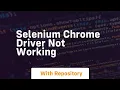selenium chrome driver not working