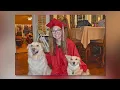 Dog-sitter who was catastrophically injured in attack files lawsuit against the owners