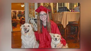 Dog-sitter who was catastrophically injured in attack files lawsuit against the owners