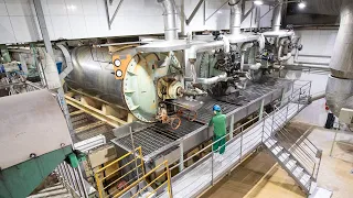Sistema Produtivo da Reciclagem Animal - 360