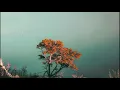 S. Carey - Have You Stopped To Notice