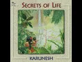 06 A Journey to India • Karunesh